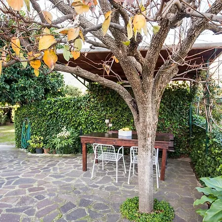 Apartment - Goelba Marciana Marina (Isola d'Elba)